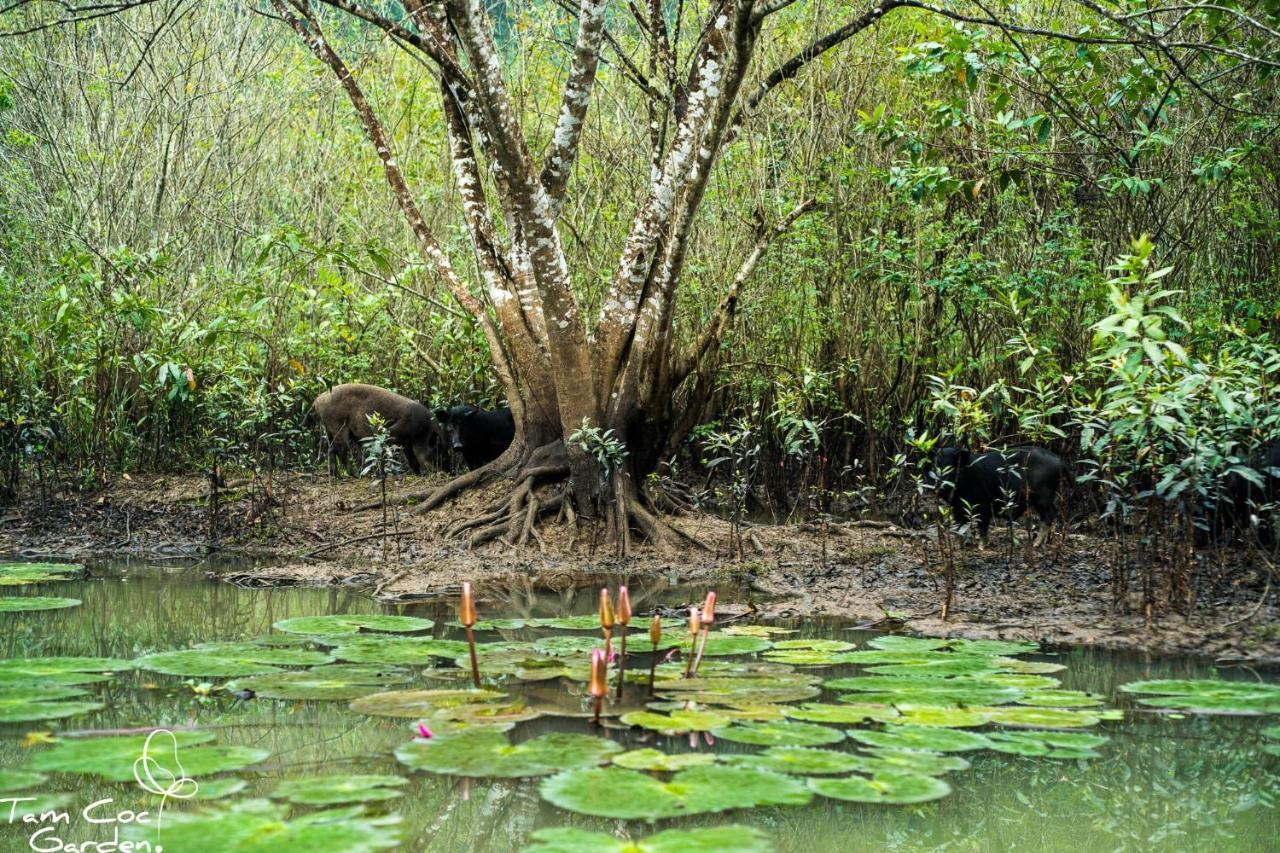 Tam Coc Garden Resort Ninh Binh Eksteriør bilde