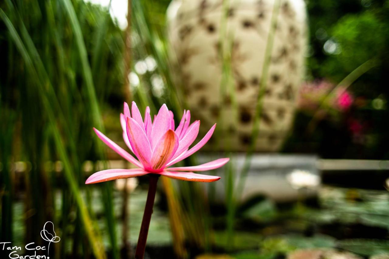 Tam Coc Garden Resort Ninh Binh Eksteriør bilde