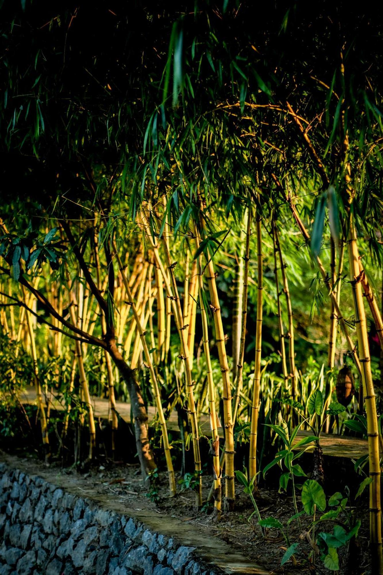 Tam Coc Garden Resort Ninh Binh Eksteriør bilde